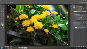 adobe-photoshop-cs5