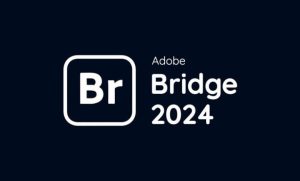 Với giao diện trực quan, Adobe Bridge 2024 hỗ trợ việc tìm kiếm và phân loại file hiệu quả.