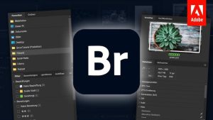 Hướng dẫn sử dụng Adobe Bridge 2024 giúp người dùng nắm vững cách tạo và quản lý bộ sưu tập tệp hình ảnh.
