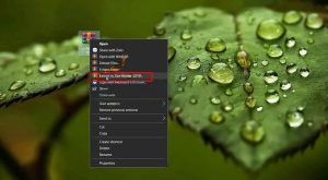 Hướng Dẫn Tải Corel Painter 2019