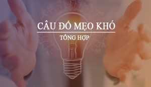 Các loại câu đố mẹo khó đa dạng, từ đố vui, logic đến đố tư duy, đều thử thách trí óc người chơi.