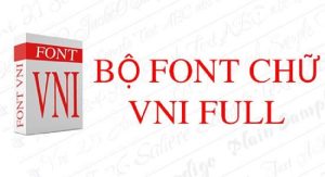 Các loại Font VNI phổ biến bao gồm VNI-Times, VNI-Arial, và VNI-Helve, mỗi loại đều có đặc điểm riêng, phù hợp với nhiều nhu cầu sử dụng khác nhau.