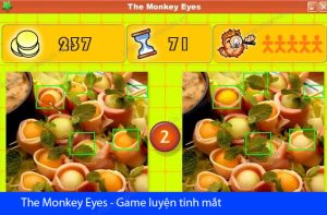 Trong The Monkey Eyes, người chơi phải tìm 5 điểm khác nhau giữa hai bức ảnh trong thời gian giới hạn.
