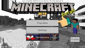 Cách tải Minecraft PE 1.19 Cho iPhone