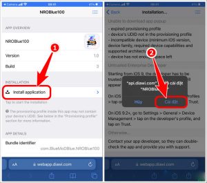 Cách tải Nro Blue trên iPhone/iPad