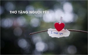 Thơ tứ tuyệt về tình yêu thể hiện cảm xúc sâu lắng, tinh tế trong từng câu chữ.