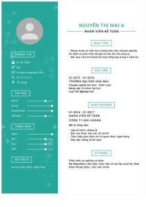 Mẫu CV kế toán tham khảo giúp bạn xây dựng hồ sơ ứng tuyển chuyên nghiệp.