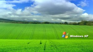 Windows XP, hệ điều hành huyền thoại của Microsoft, nổi bật với sự ổn định và dễ sử dụng.