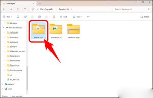 Hướng dẫn tải Nro Blue trên máy tính PC