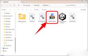 Hướng dẫn tải Nro Blue trên máy tính PC
