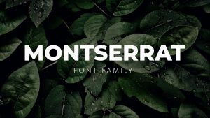 Sử dụng font Montserrat giúp mang lại vẻ ngoài hiện đại, dễ đọc và tinh tế, phù hợp cho các dự án thiết kế chuyên nghiệp và sáng tạo.