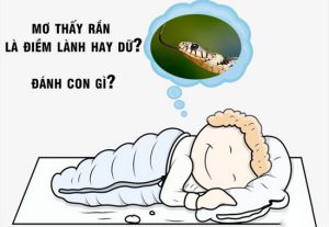 Mơ thấy rắn có thể gắn liền với những con số may mắn như 3, 7, 21 hoặc 33.