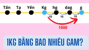 Cần chú ý sử dụng đúng đơn vị đo lường để tránh nhầm lẫn trong tính toán và giao dịch.
