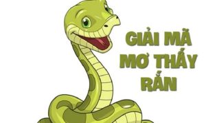 Giấc mơ thấy rắn có thể phản ánh những thay đổi hoặc cảm xúc sâu kín trong cuộc sống.